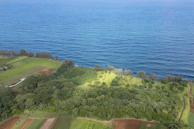 28-110 KULAIMANO HOMESTEAD ROAD, Pepeekeo, HI 96783