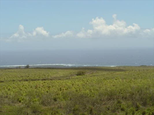 Undisclosed, Naalehu, HI 96772