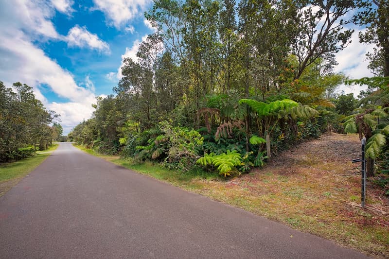 11-3754 NAHELENANI ST, Volcano, HI 96785