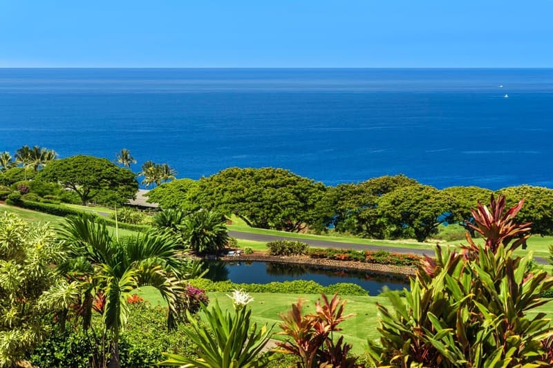 81-6597 HIAAIONO PL, Kealakekua, HI 96750