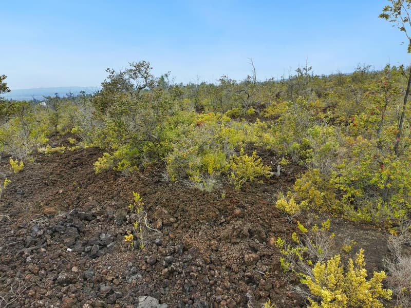 HUKILAU DR, Ocean View, HI 96737
