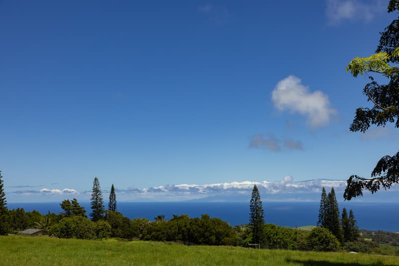 WAIOLU PL, Hawi, HI 96719