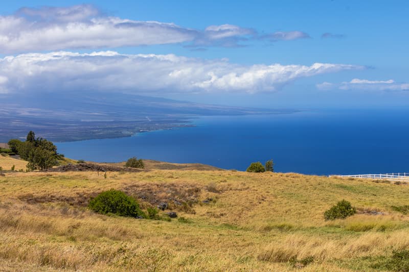 Undisclosed, Kamuela, HI 96743