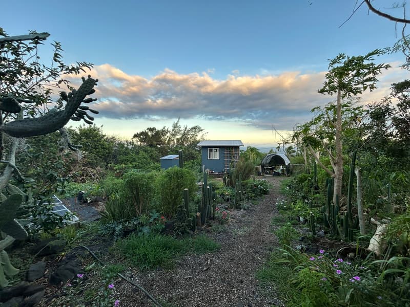 94-6482 PALAOA RD, Naalehu, HI 96772