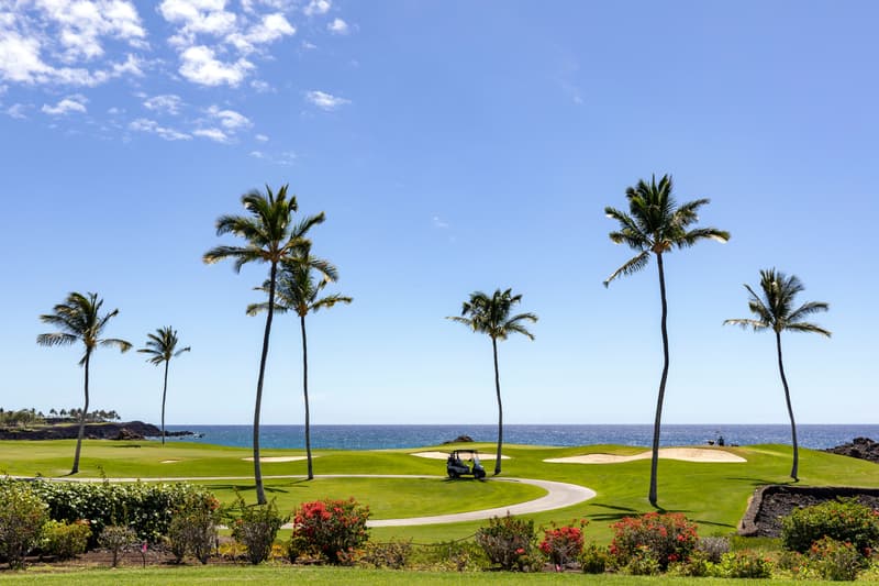 68-1050 MAUNA LANI POINT #E105, Kamuela, HI 96743