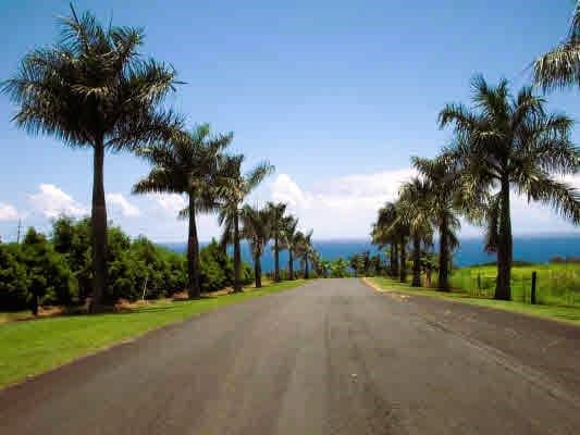 BEACH RD LOT # 13, Pepeekeo, HI 96783