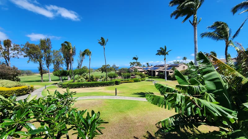 68-3840 LUA KULA ST #D203, Waikoloa, HI 96738