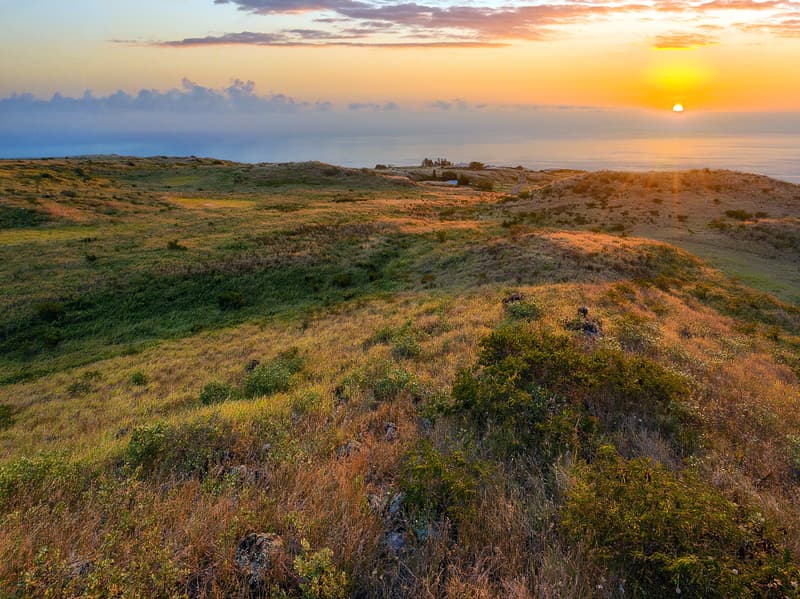LEHIWA WAY, Kamuela, HI 96743
