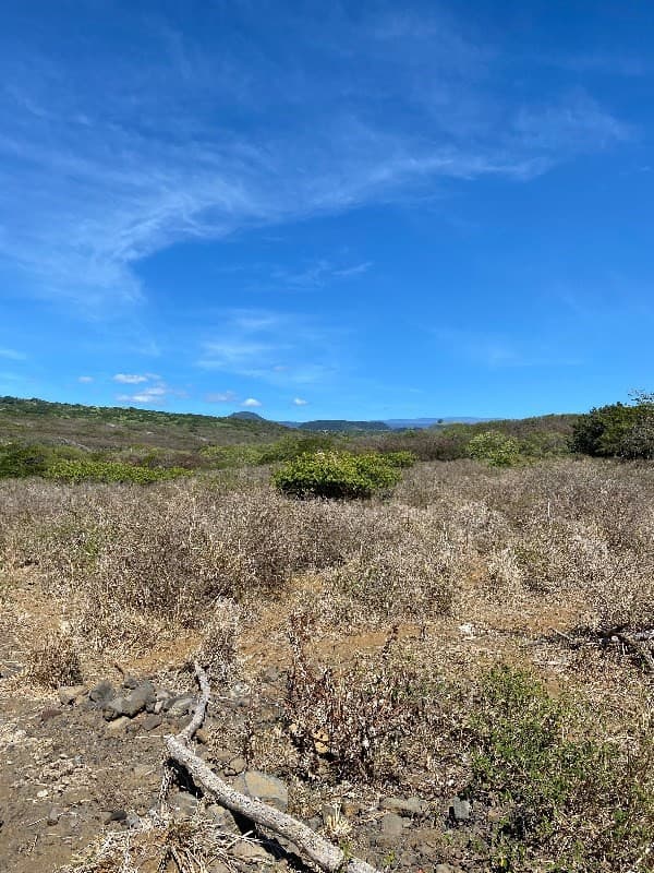Undisclosed, Naalehu, HI 96772