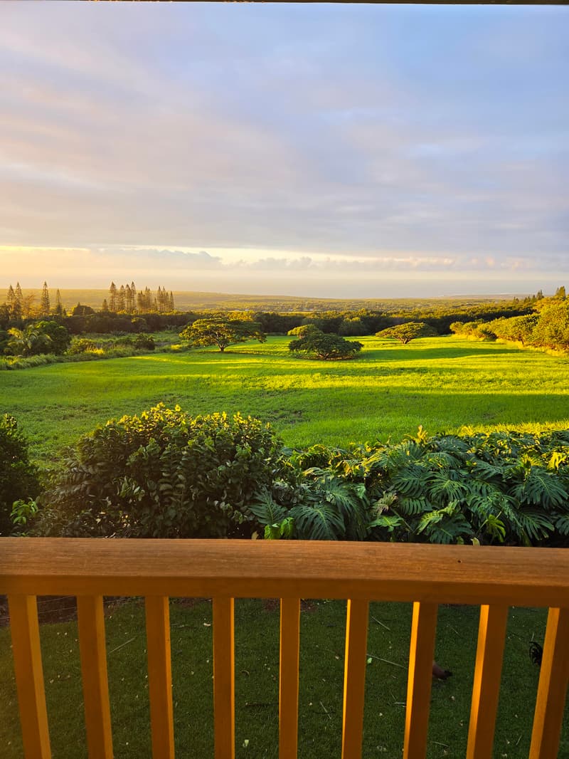 94-6311 KAMAOA RD, Naalehu, HI 96772