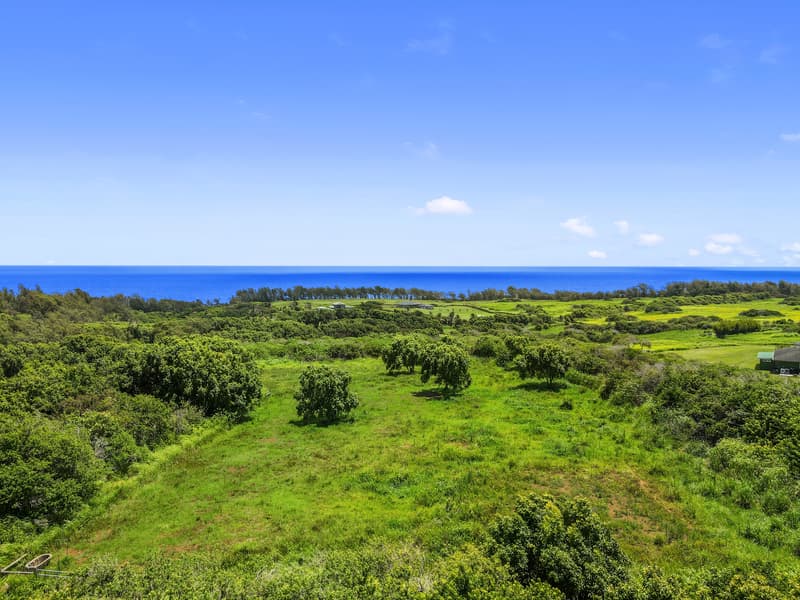 53-338 KAPANAIA RD, Kapaau, HI 96755