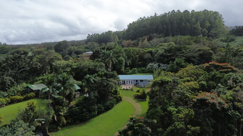 48-5443 KUKUIHAELE RD, Honokaa, HI 96727