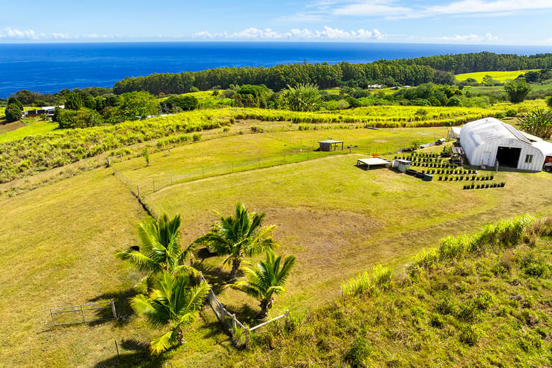 35-326 PAHALE RD, Papaaloa, HI 96780