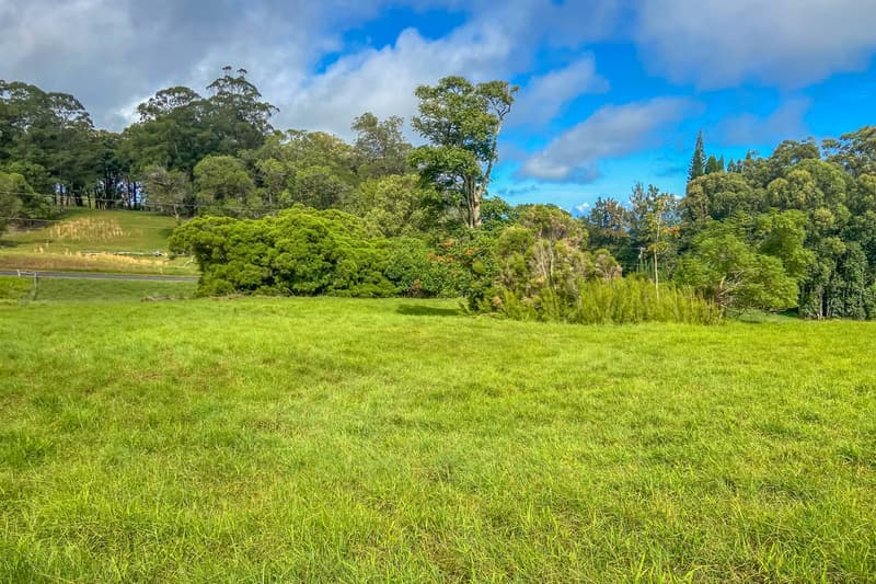 43-1947 OLINA PL, Honokaa, HI 96727