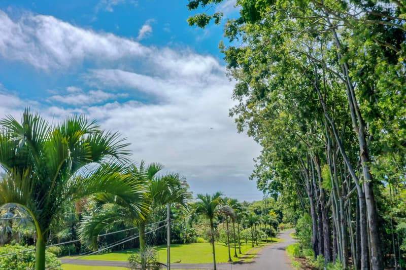 27-536 ALAKAHI PL #LOT B, Pepeekeo, HI 96781
