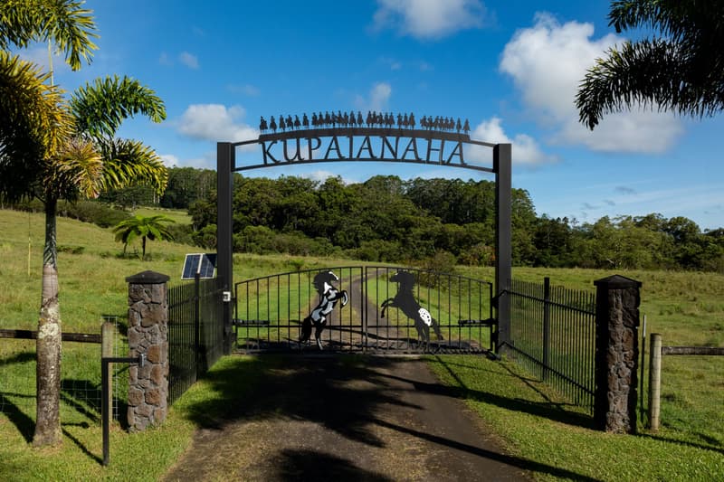 29-596 CHIN CHUCK RD, Hakalau, HI 96710