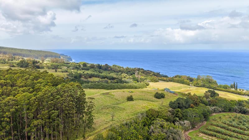 34-1219 HAWAII BELT RD, Papaaloa, HI 96780