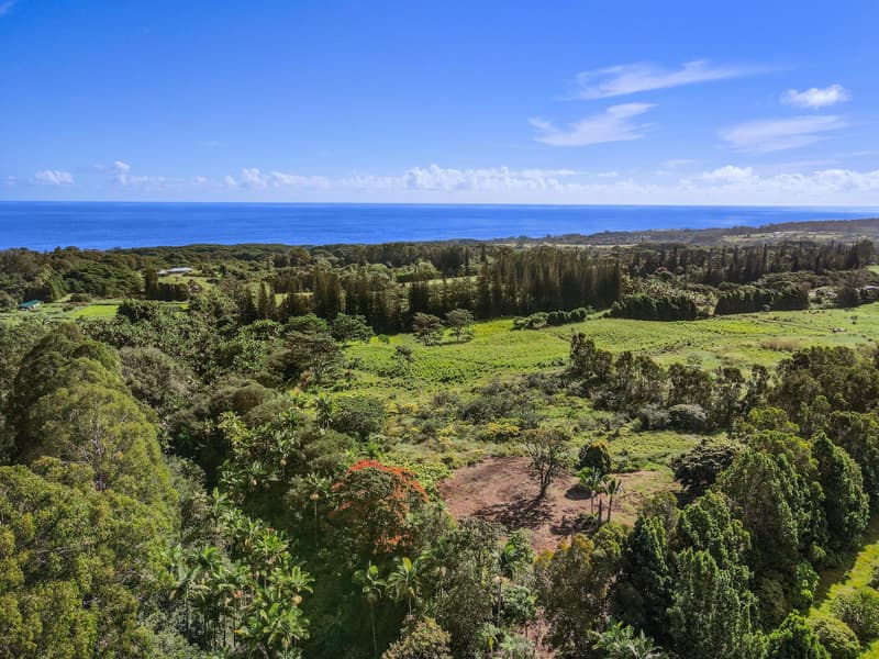 29-2458 KAIWIKI HOMESTEAD RD, Hakalau, HI 96710