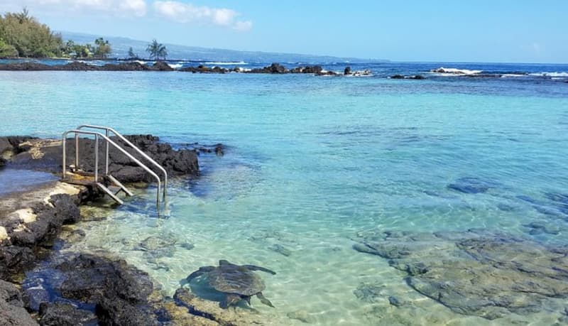 1875 KALANIANAOLE AVE #209, Hilo, HI 96720