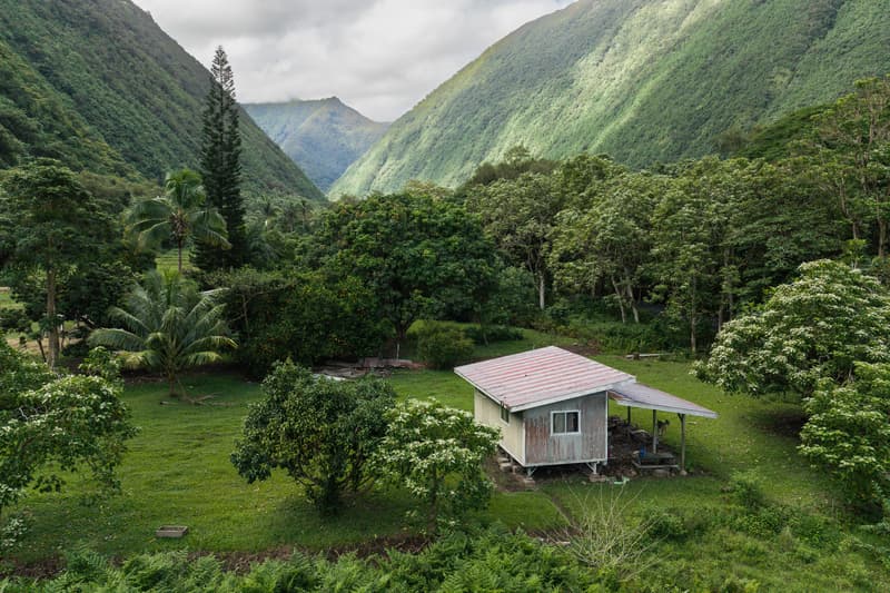Undisclosed, Honokaa, HI 96727