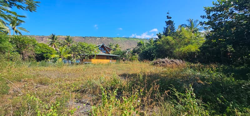 MANINI BEACH RD, Captain Cook, HI 96704