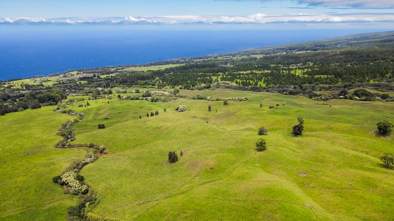 Undisclosed, Honokaa, HI 96727
