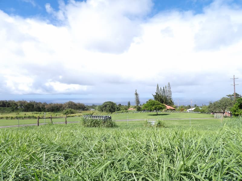 54-2337 KYNNERSLEY ROAD, Kapaau, HI 96755
