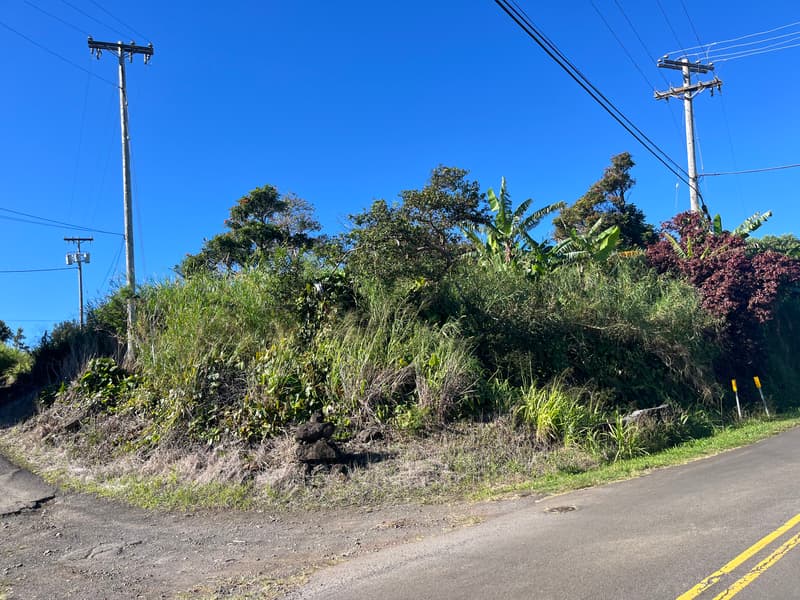 44-2561 KALOPA RD, Honokaa, HI 96727