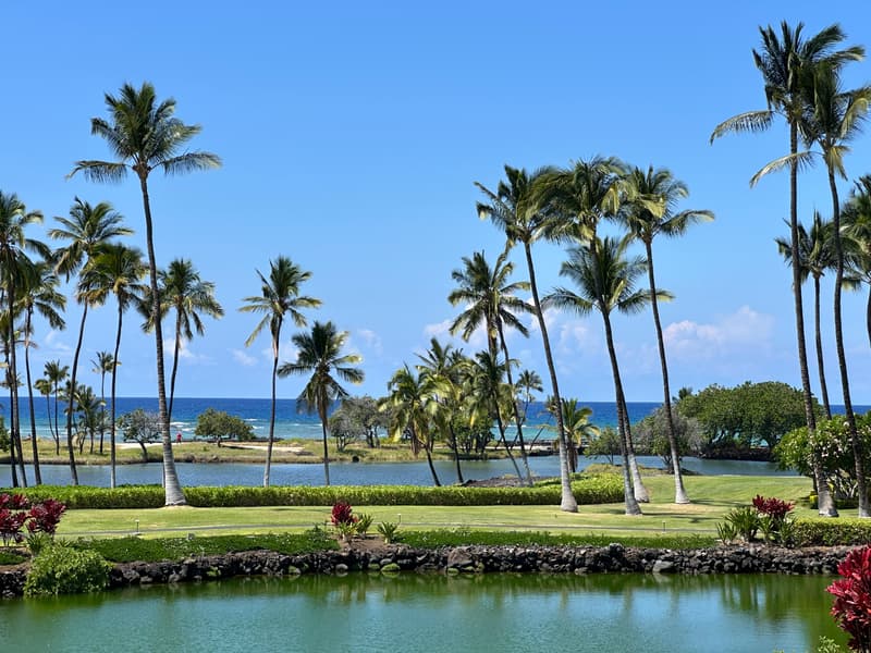68-1399 MAUNA LANI DR #D201, Kamuela, HI 96743