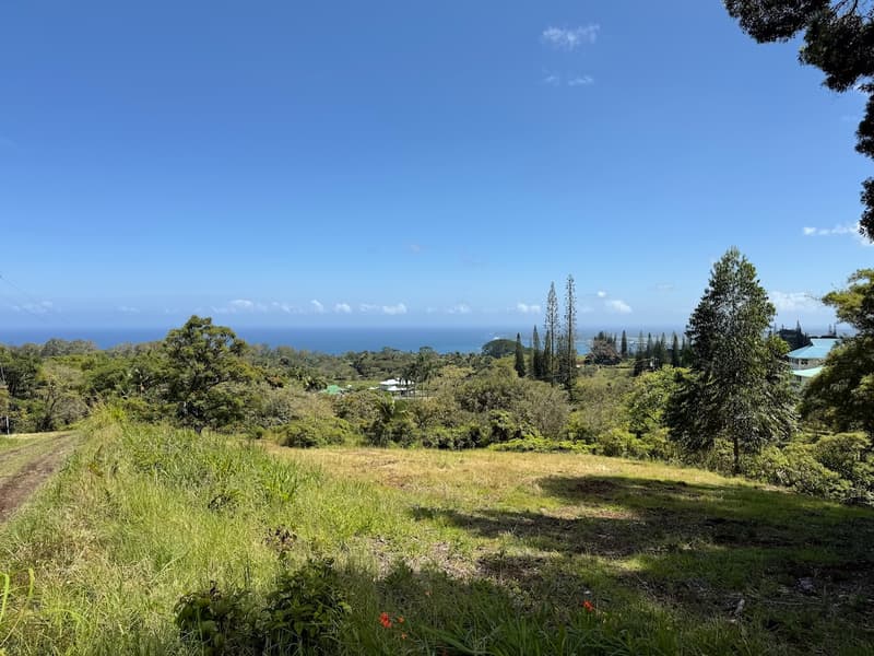 1951 KAIWIKI RD, Hilo, HI 96720