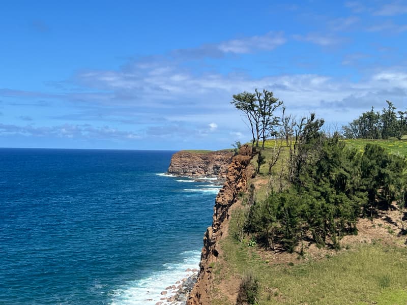 55-199-B HOEA RD, Hawi, HI 96719
