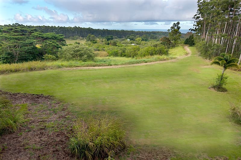 28-668 KAUPAKUEA HOMESTEAD RD, Papaikou, HI 96783