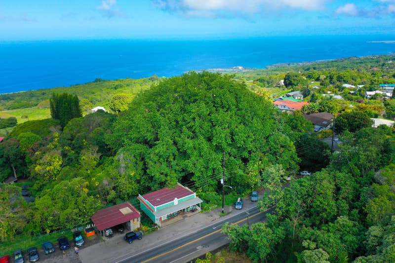 79-7288 HAWAII BELT RD, Kealakekua, HI 96750