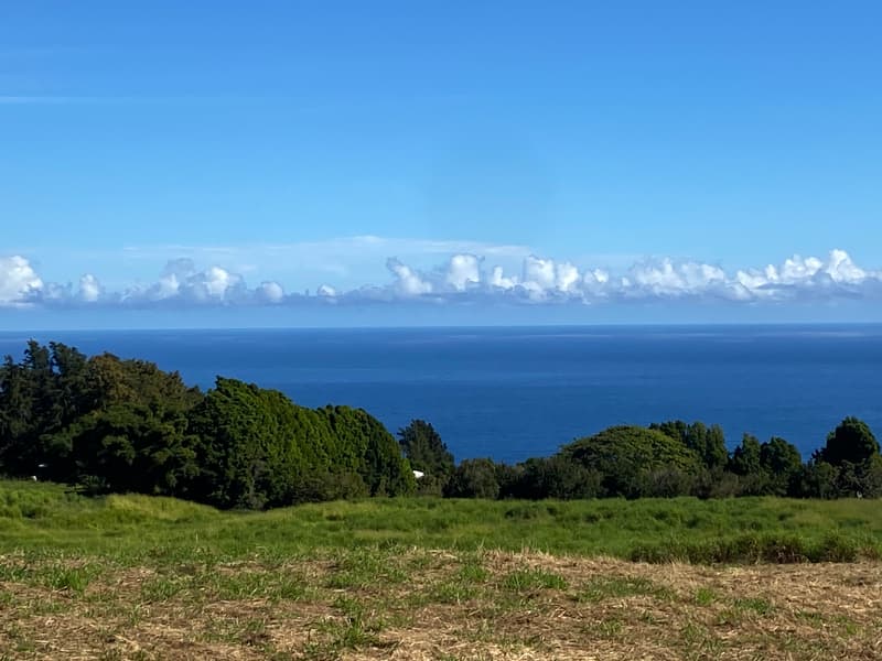 44-2745 KALOPA MAUKA RD, Honokaa, HI 96727