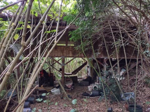 96-2422 WOOD VALLEY RD, Pahala, HI 96777