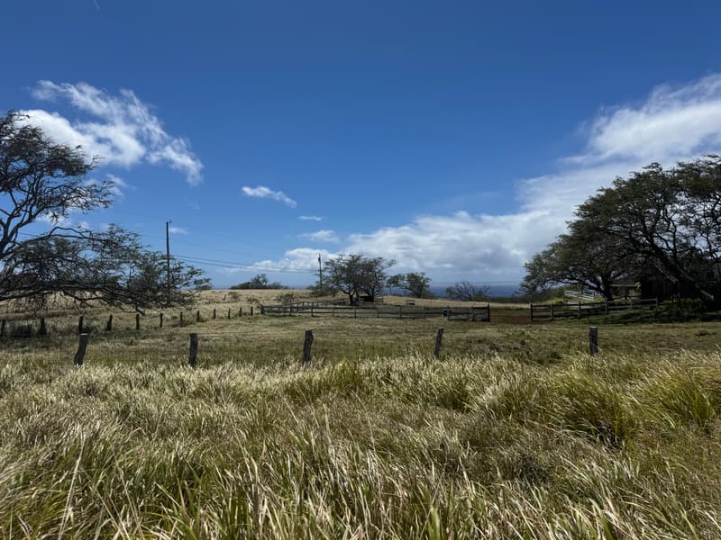 56-2951 PUAKEA BAY DR, Hawi, HI 96719