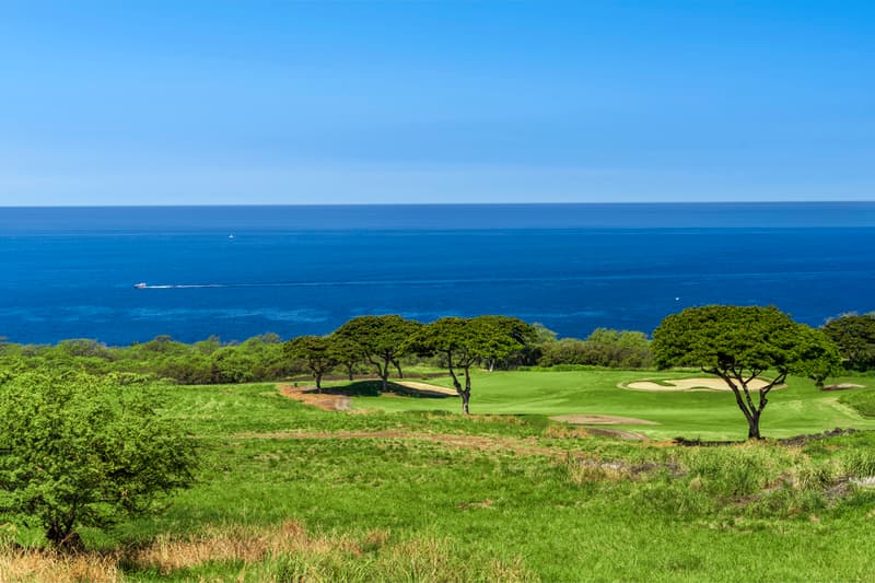 81-6571 MAMAKA PL, Kealakekua, HI 96750