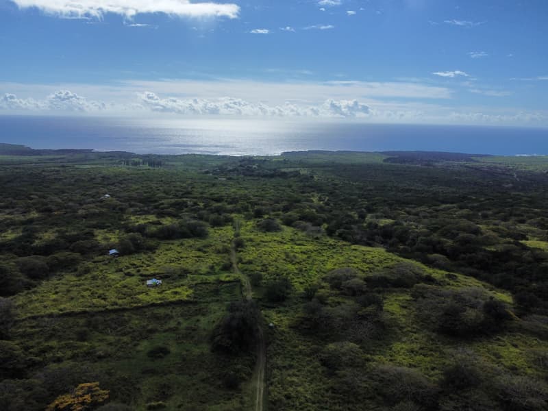 Undisclosed, Naalehu, HI 96772