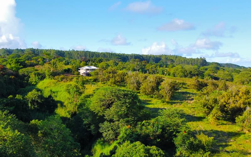 2525 MAIKALANI ST, Hilo, HI 96720
