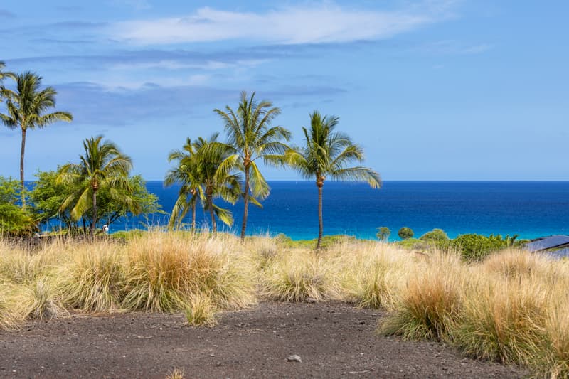 72-3211 KAPUAHI MANINI PL, Kailua-Kona, HI 96740