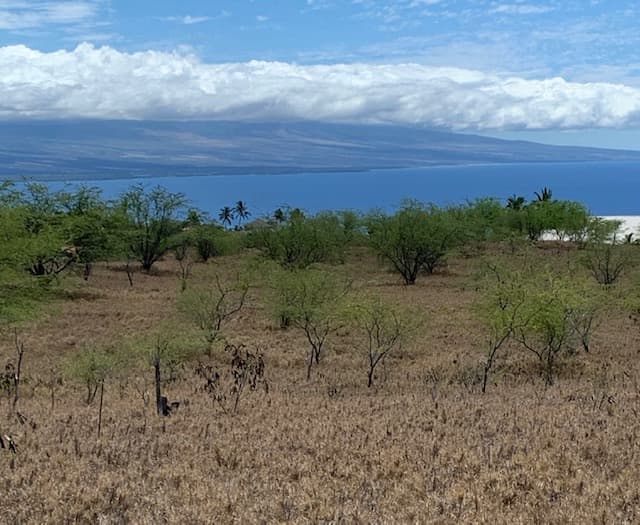 59-229 OLOMANA RD, Kamuela, HI 96743