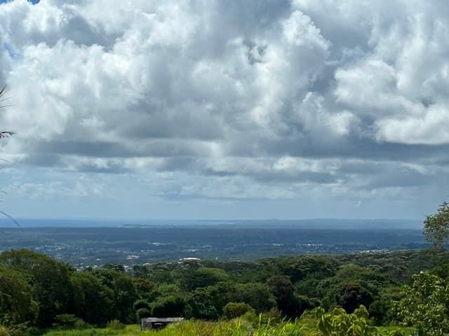 PUUEO MAUKA DR, Hilo, HI 96720