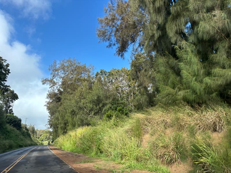 47-4520 HONOKAA WAIPIO RD, Honokaa, HI 96727