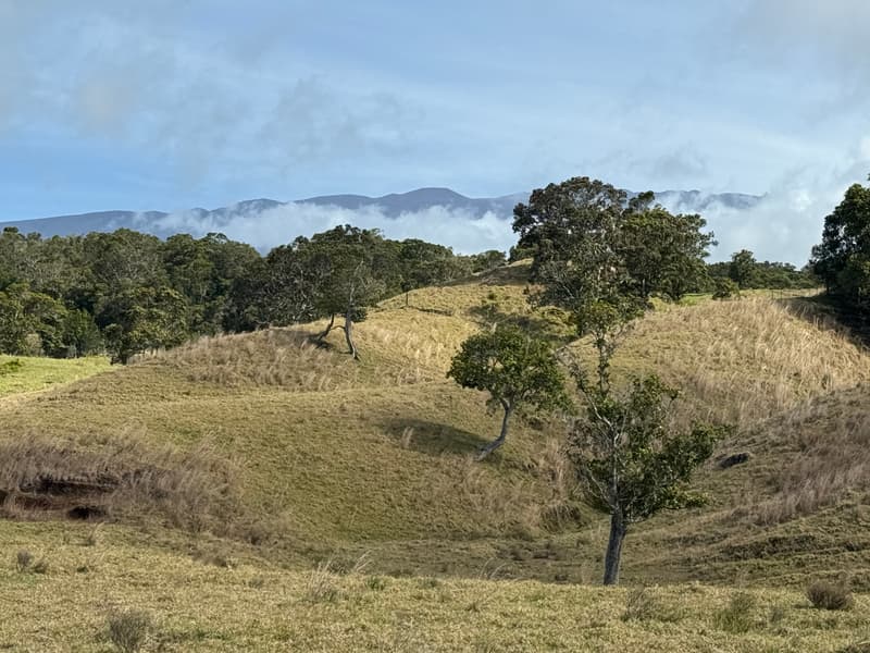 44-2135 POHAKEALANI RD, Honokaa, HI 96727