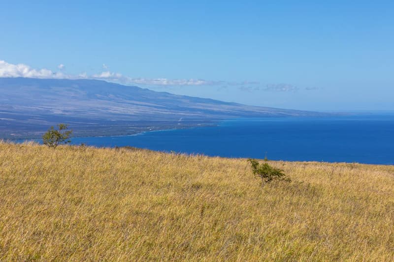 KAMAKANI LOOP, Kamuela, HI 96743