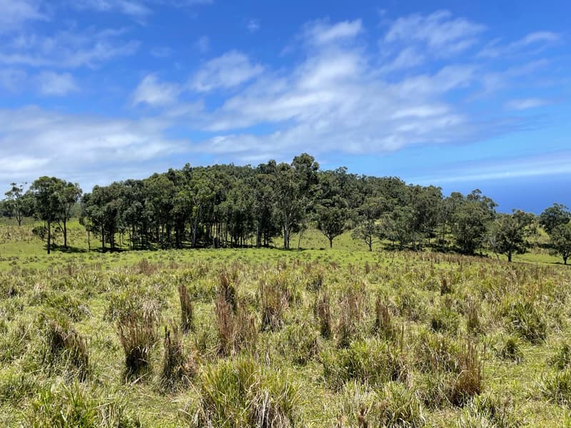 KAALUALU RD, Naalehu, HI 96772