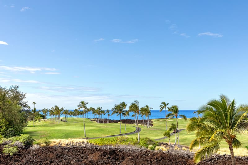 69-1033 NAWAHINE PL #7G, Waikoloa, HI 96738