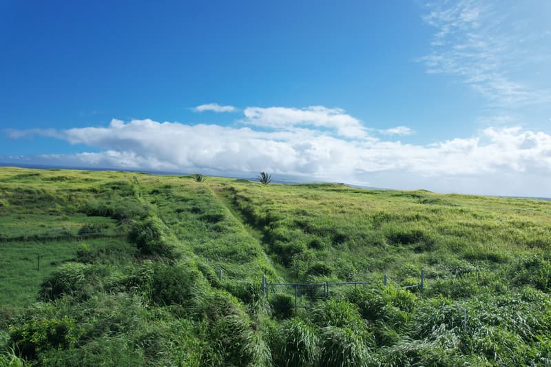 Kamaoa Homestead #Lot 63, Naalehu, HI 96772