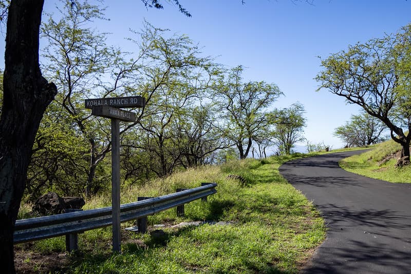 59-584 AWAA PL, Kamuela, HI 96743
