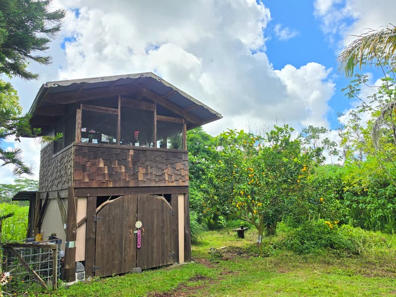 16-541 AULII ST, Kurtistown, HI 96760
